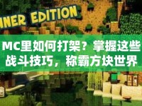 MC里如何打架？掌握這些戰(zhàn)斗技巧，稱霸方塊世界不是夢！