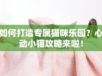 如何打造專屬貓咪樂園？心動小貓攻略來啦！