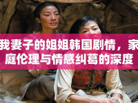 我妻子的姐姐韓國(guó)劇情，家庭倫理與情感糾葛的深度剖析