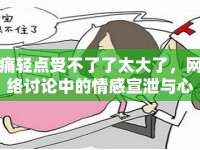 痛輕點受不了了太大了，網絡討論中的情感宣泄與心理疏導
