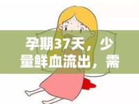 孕期37天，少量鮮血流出，需警惕的早期癥狀