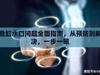 魚缸水口問題全面指南，從預(yù)防到解決，一步一策