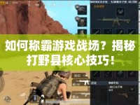如何稱霸游戲戰(zhàn)場(chǎng)？揭秘打野縣核心技巧！
