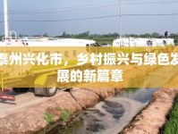 泰州興化市，鄉(xiāng)村振興與綠色發(fā)展的新篇章