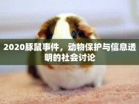 2020豚鼠事件，動物保護與信息透明的社會討論