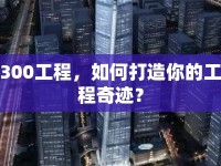 300工程，如何打造你的工程奇跡？