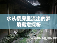 水從樓房里流出的夢境寓意探析