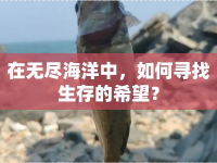 在無(wú)盡海洋中，如何尋找生存的希望？