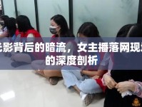 光影背后的暗流，女主播落網(wǎng)現(xiàn)場(chǎng)的深度剖析