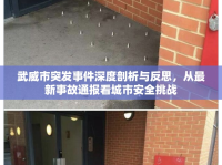 武威市突發(fā)事件深度剖析與反思，從最新事故通報看城市安全挑戰(zhàn)