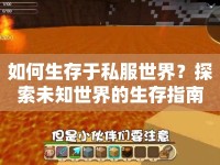如何生存于私服世界？探索未知世界的生存指南