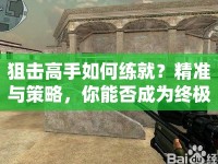 狙擊高手如何練就？精準(zhǔn)與策略，你能否成為終極挑戰(zhàn)者？