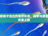 探索精子流出的奇妙形態(tài)，科學(xué)與感官的雙重之旅