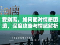 愛別離，如何面對(duì)情感困境，深度攻略與情感解析？