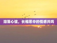 淚落心弦，長(zhǎng)相思中的情感共鳴