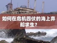 如何在危機四伏的海上棄船求生？