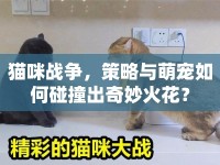 貓咪戰(zhàn)爭，策略與萌寵如何碰撞出奇妙火花？