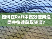 如何在Raft中高效使用漁網(wǎng)并快速獲取資源？