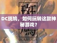 DC斑鳩，如何玩轉這款神秘游戲？