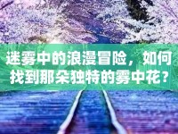 迷霧中的浪漫冒險(xiǎn)，如何找到那朵獨(dú)特的霧中花？