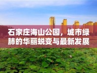 石家莊海山公園，城市綠肺的華麗蛻變與最新發(fā)展動態(tài)