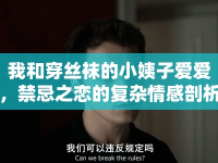 我和穿絲襪的小姨子愛愛，禁忌之戀的復(fù)雜情感剖析