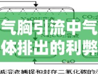 氣胸引流中氣體排出的利弊權(quán)衡與科學(xué)指導(dǎo)策略