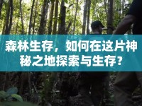 森林生存，如何在這片神秘之地探索與生存？