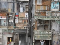 無VIP也能玩轉(zhuǎn)？綠洲傳奇手游重塑經(jīng)典，公平競技等你來戰(zhàn)！