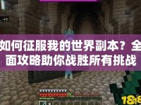 如何征服我的世界副本？全面攻略助你戰(zhàn)勝所有挑戰(zhàn)！