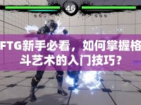 FTG新手必看，如何掌握格斗藝術(shù)的入門技巧？