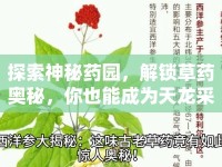 探索神秘藥園，解鎖草藥奧秘，你也能成為天龍采藥高手？