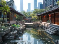 中文久久的魅力，歷史、文化與現(xiàn)代應(yīng)用，你了解多少？