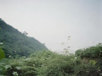 啊片，網(wǎng)絡(luò)討論中的文化現(xiàn)象與影響