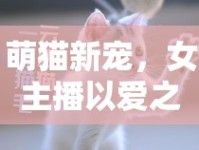 萌貓新寵，女主播以愛之名點亮直播新風尚