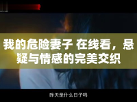 我的危險(xiǎn)妻子 在線看，懸疑與情感的完美交織
