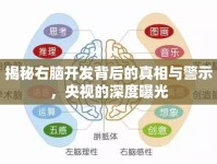 揭秘右腦開發(fā)背后的真相與警示，央視的深度曝光