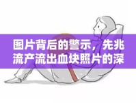 圖片背后的警示，先兆流產(chǎn)流出血塊照片的深度解析