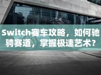 Switch賽車攻略，如何馳騁賽道，掌握極速藝術(shù)？