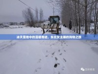 冰天雪地中的溫暖奇跡，東北女主播的購物之旅