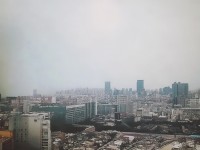 雪鷹領(lǐng)主手游貼吧，為何能成為玩家心中的交流圣地？