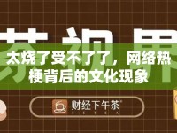 太燒了受不了了，網(wǎng)絡(luò)熱梗背后的文化現(xiàn)象