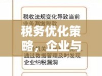 稅務優(yōu)化策略，企業(yè)與個人如何有效管理稅務