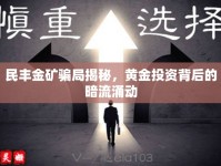 民豐金礦騙局揭秘，黃金投資背后的暗流涌動