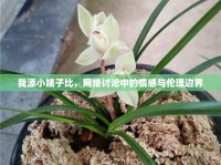 我添小姨子比，網(wǎng)絡(luò)討論中的情感與倫理邊界