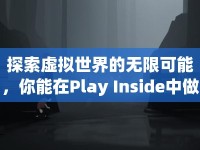 探索虛擬世界的無(wú)限可能，你能在Play Inside中做到什么？