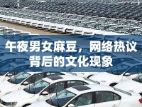 午夜男女麻豆，網(wǎng)絡(luò)熱議背后的文化現(xiàn)象