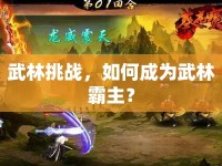 武林挑戰(zhàn)，如何成為武林霸主？