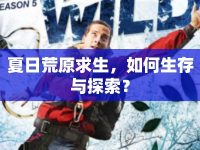 夏日荒原求生，如何生存與探索？