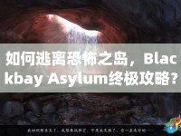 如何逃離恐怖之島，Blackbay Asylum終極攻略？
